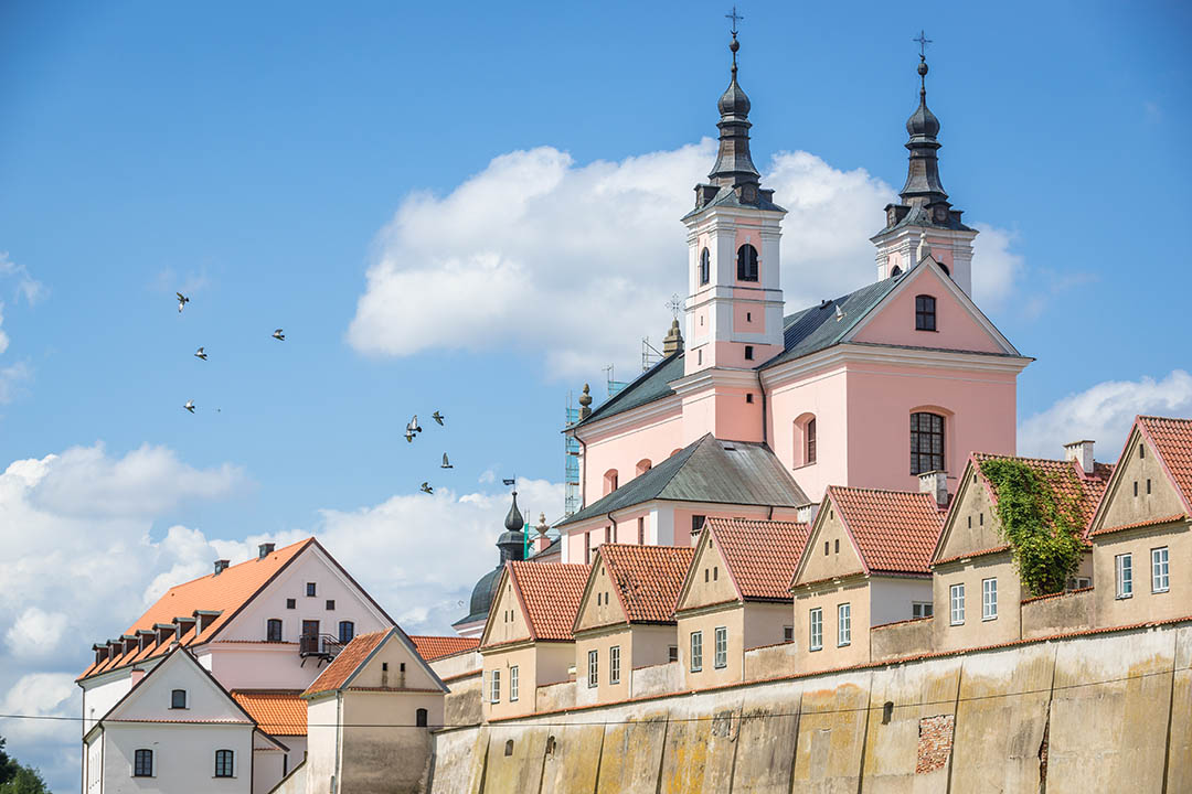 Suwalki sightseeing – Buildings and birds